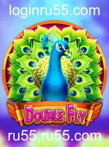 Explorando o Mundo de DoubleFly: Descrição e Regras do Jogo